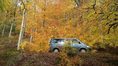 4x4 guided tours through the heart of the Irati Forest and surrounding area